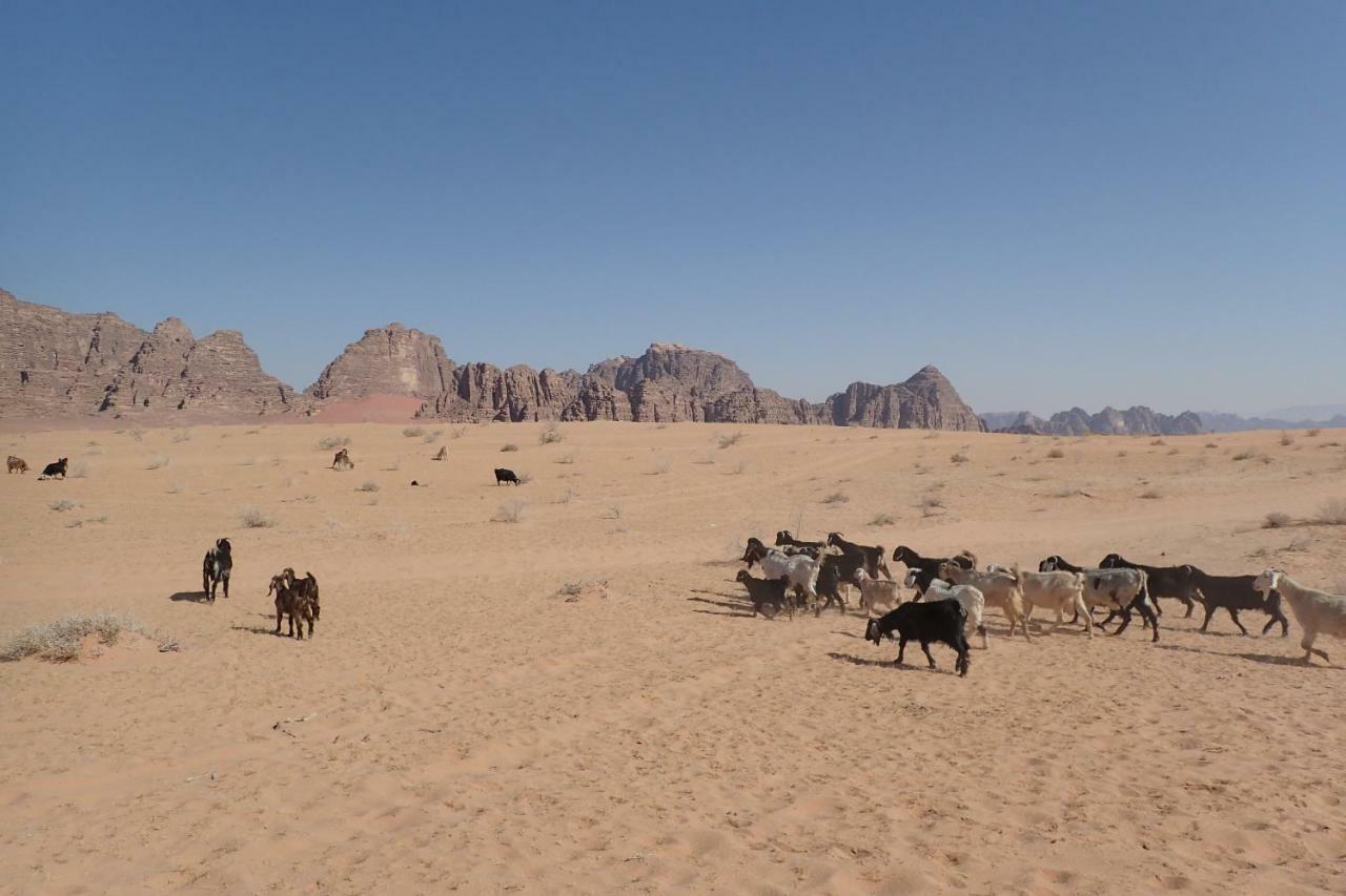 Martian Camp Wadi Rum Exterior photo